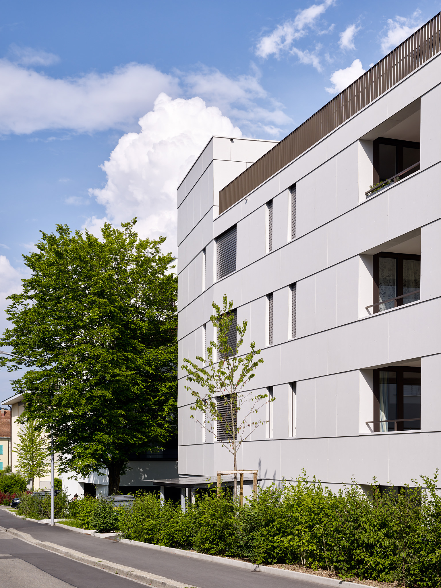 E15551 Alpa 051276 SCREEN